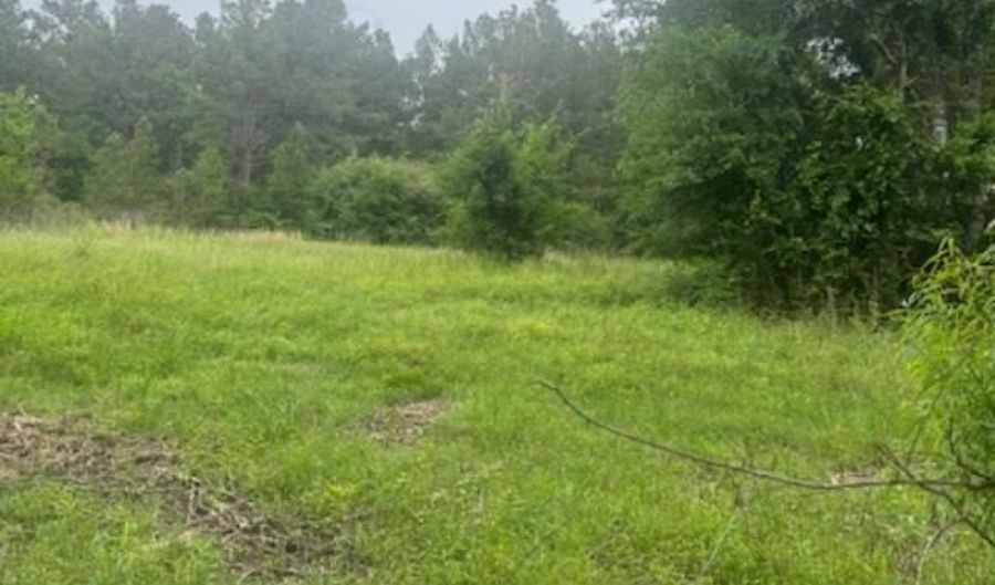 FM 2501, Apple Springs, TX 75965 - 0 Beds, 0 Bath