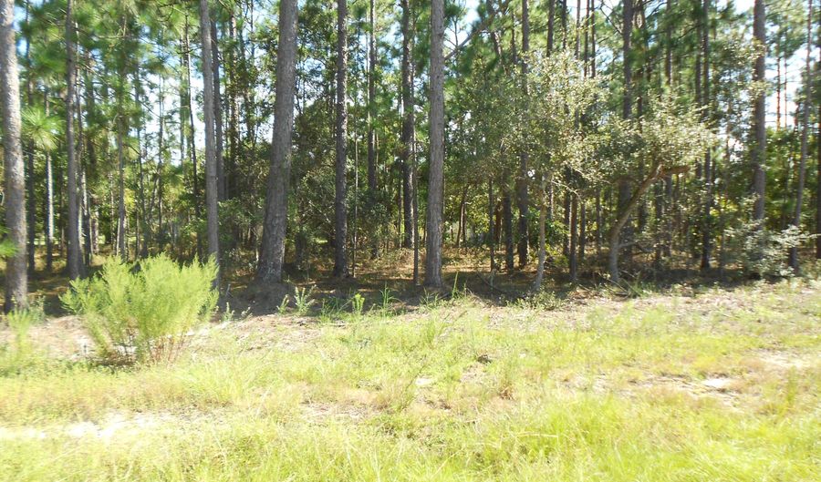 Lot 22-23 Morehead Road, Boiling Spring Lakes, NC 28461 - 0 Beds, 0 Bath