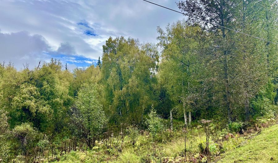 17261 N Rock Rose Ln, Chickaloon, AK 99674 - 1 Beds, 1 Bath