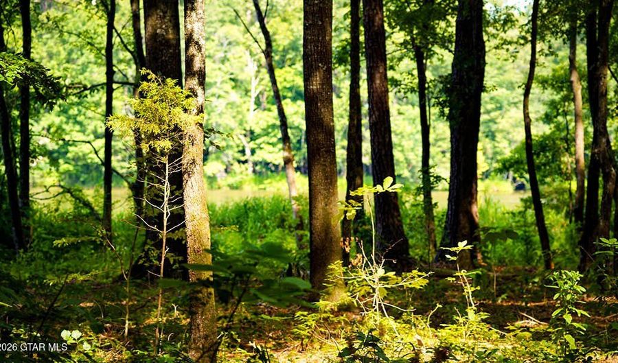 Cypress Pointe Drive lot 9, Brooksville, MS 39739 - 0 Beds, 0 Bath