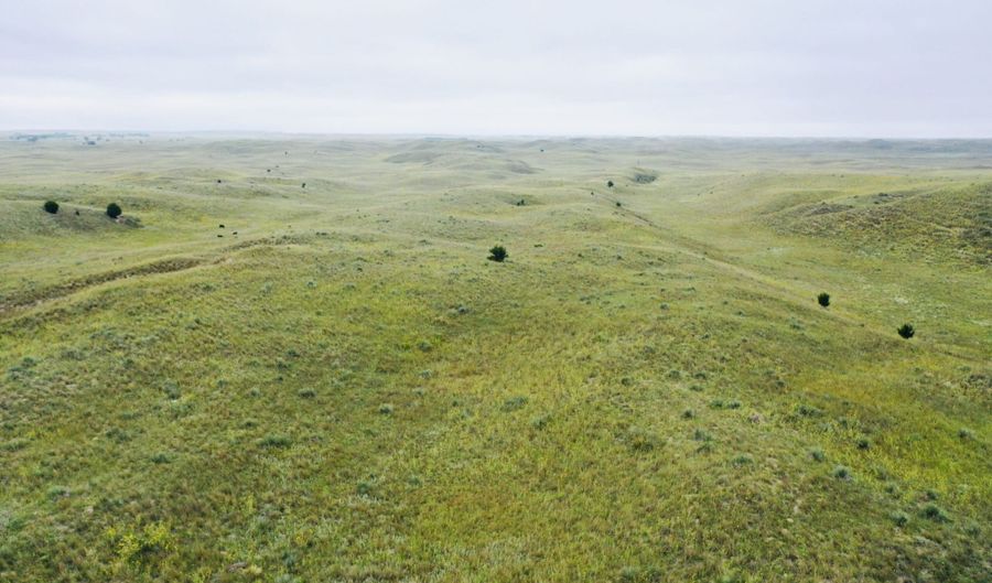755 90 +/- Acres, Arnold, NE 69120 - 0 Beds, 0 Bath