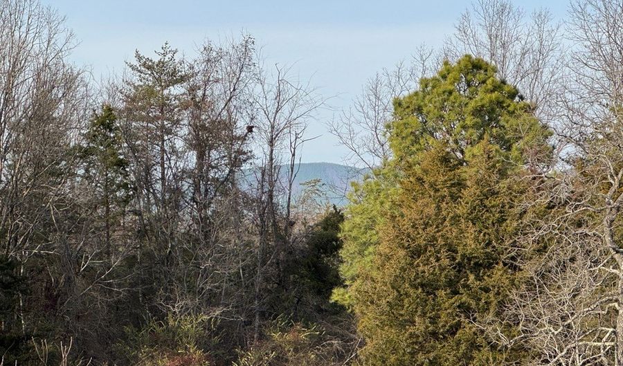 Watt Abbitt Road, Appomattox, VA 24522 - 0 Beds, 0 Bath