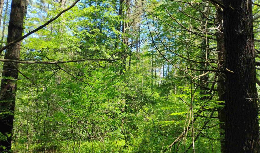 0 Orchard St Lot 59, Brattleboro, VT 05301 - 0 Beds, 0 Bath
