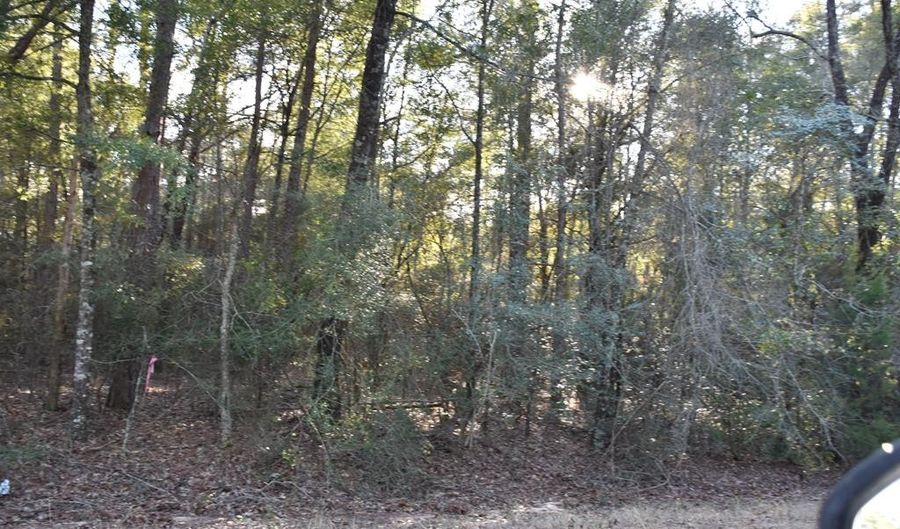 Lot 7 County Road 156, Enterprise, AL 36330 - 0 Beds, 0 Bath