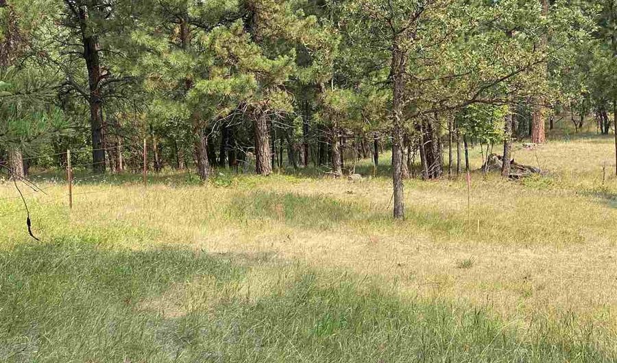 tbd lot 14 Other, Whitewood, SD 57793 - 0 Beds, 0 Bath