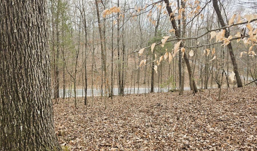 Midfield Dr, Big Sandy, TN 38221 - 0 Beds, 0 Bath