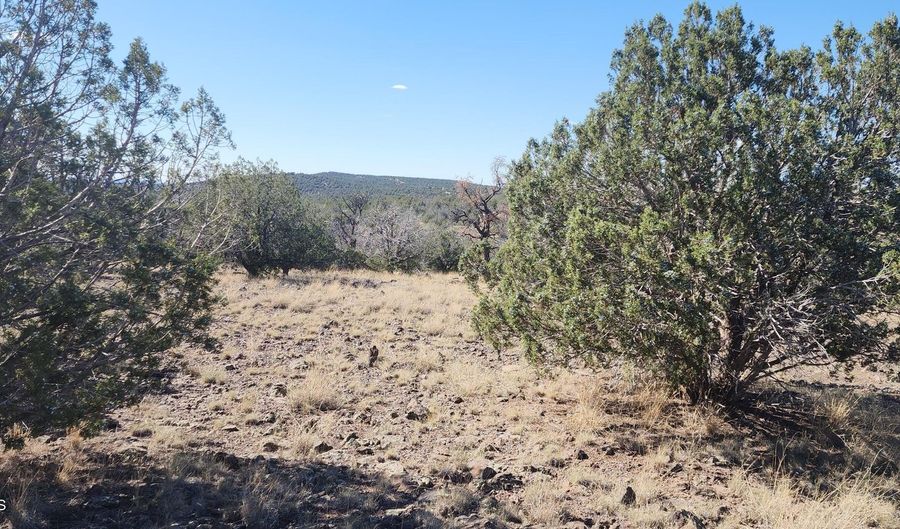 3214 N Kerren Lp, Ash Fork, AZ 86320 - 0 Beds, 0 Bath