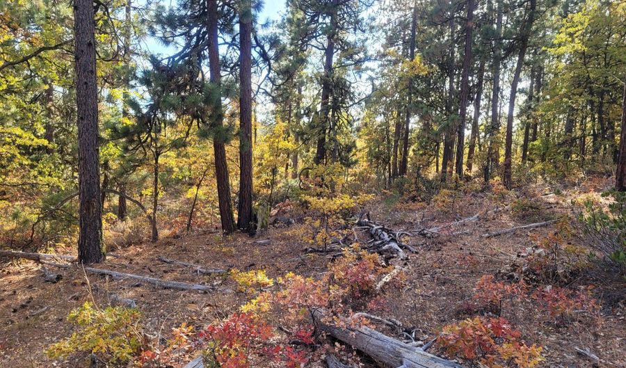 605 PINE CREEK Rd, Bickleton, WA 99322 - 0 Beds, 0 Bath