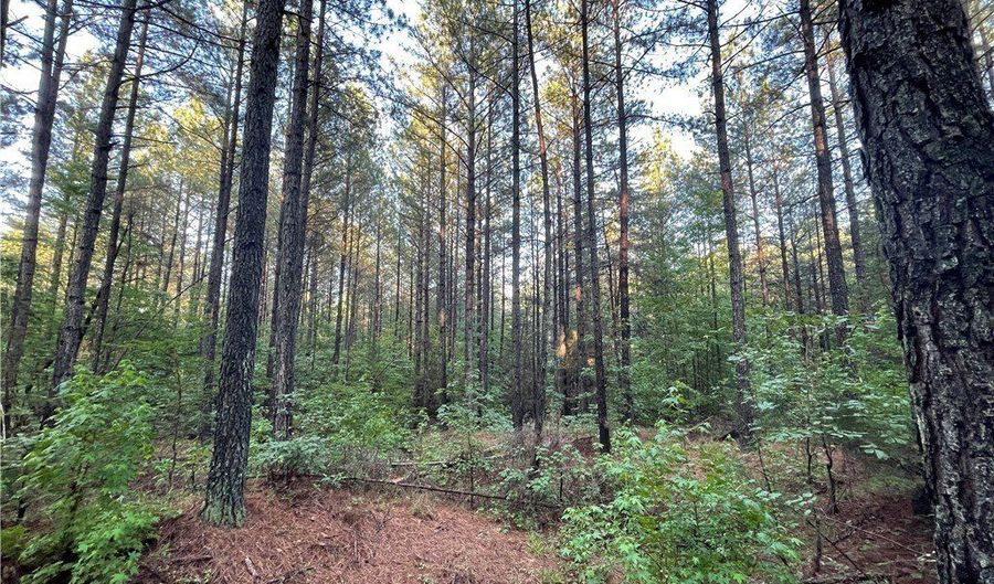 Reed Rock Road, Amelia, VA 23002 - 0 Beds, 0 Bath
