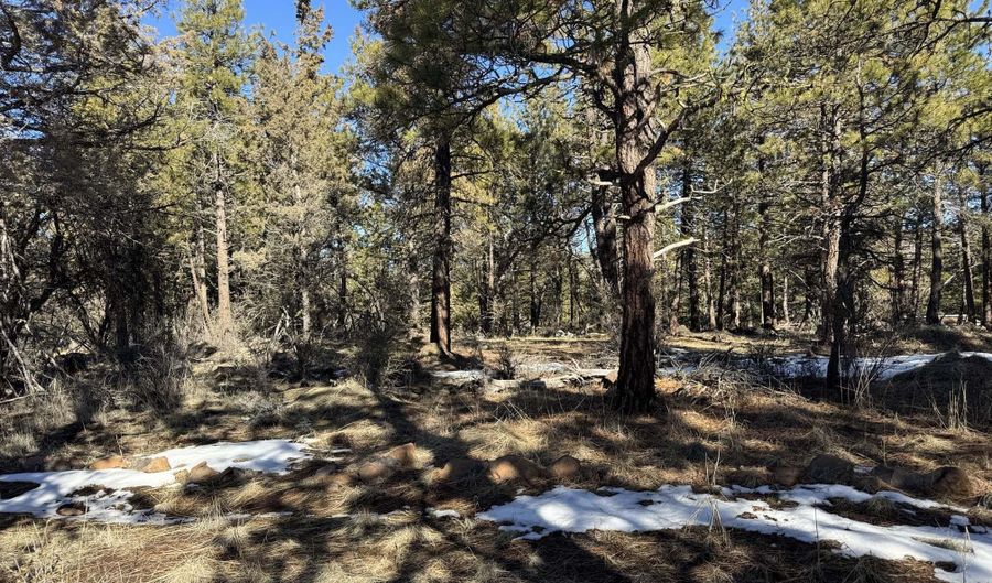 Golden Eagle Drive 30, Bonanza, OR 97623 - 0 Beds, 0 Bath