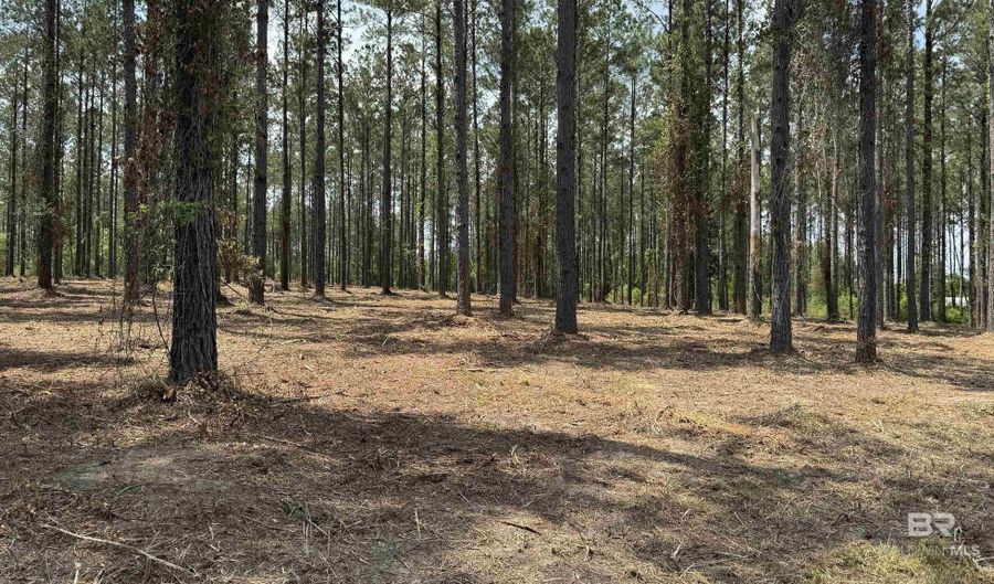Ronald Sanks Road, Bay Minette, AL 36507 - 0 Beds, 0 Bath