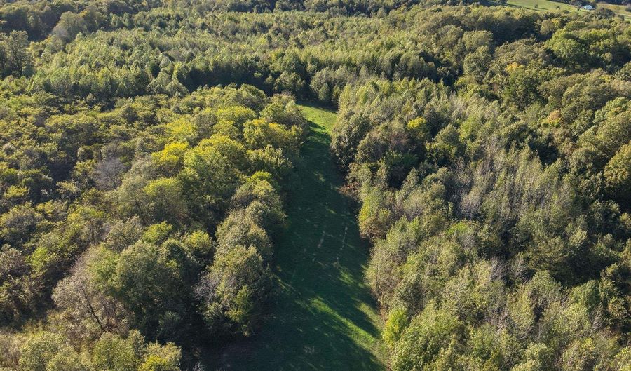 115 County Road 1039, Bardwell, KY 42023 - 0 Beds, 0 Bath