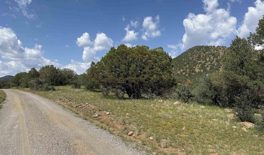 XY Black Dog Road, Silver City, NM 88061 - 0 Beds, 0 Bath