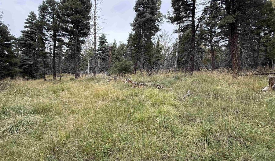 Cheerful Way lot 1469, Angel Fire, NM 87710 - 0 Beds, 0 Bath