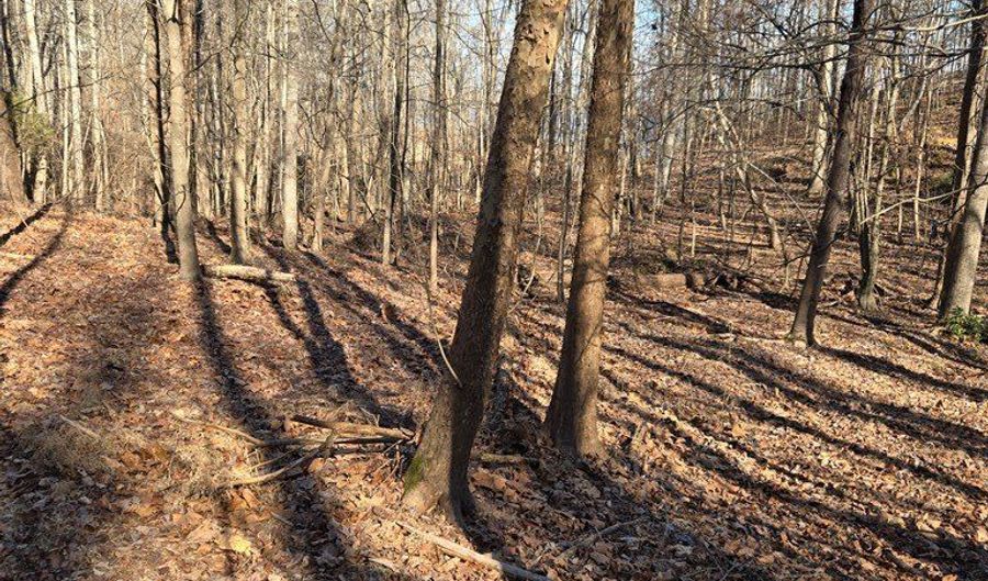 River Oak drive lot 7, Big Sandy, TN 28320 - 0 Beds, 0 Bath