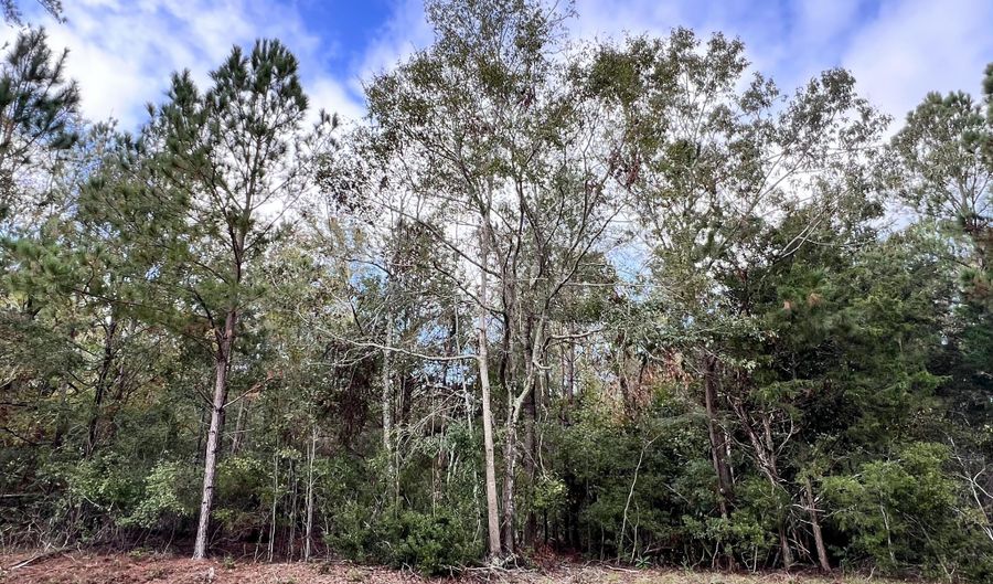 Lot B RIDGE Road, Appling, GA 30802 - 0 Beds, 0 Bath