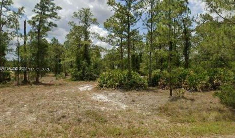 2321 Macarthur Ave, Lehigh Acres, FL 33920 - 0 Beds, 0 Bath
