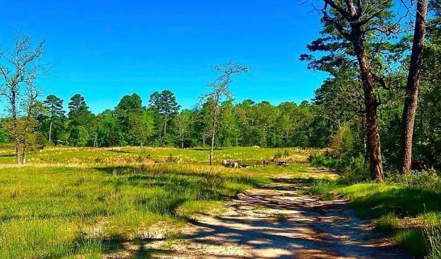 868 County Road 2920, Alba, TX 75410 - 0 Beds, 0 Bath