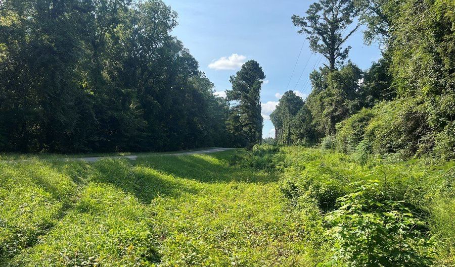 TBD County Road 68, Abbeville, AL 36310 - 0 Beds, 0 Bath
