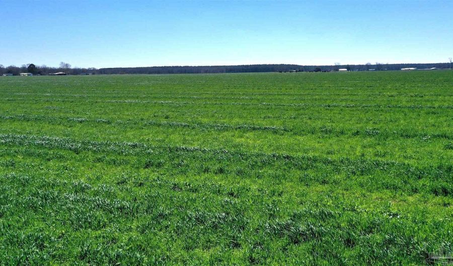 Lot 16 Davis Pond Rd, Atmore, AL 36502 - 0 Beds, 0 Bath