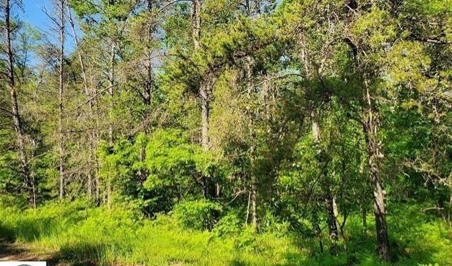 Quigley Road 40 Acres Quigley Road, Alger, MI 48610 - 0 Beds, 0 Bath