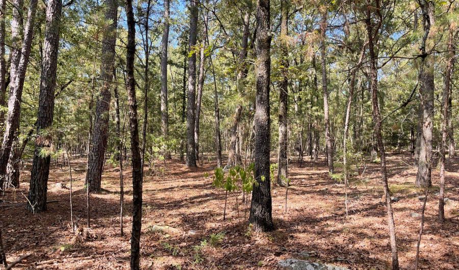 2800 Highway 2, Antlers, OK 74523 - 0 Beds, 0 Bath