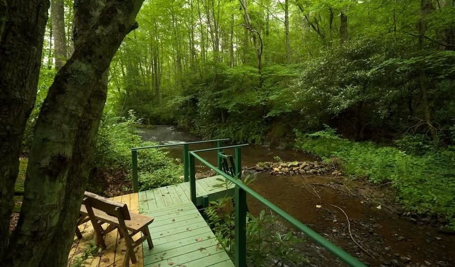 60 Bartram Trl, Scaly Mountain, NC 28775 - 0 Beds, 0 Bath
