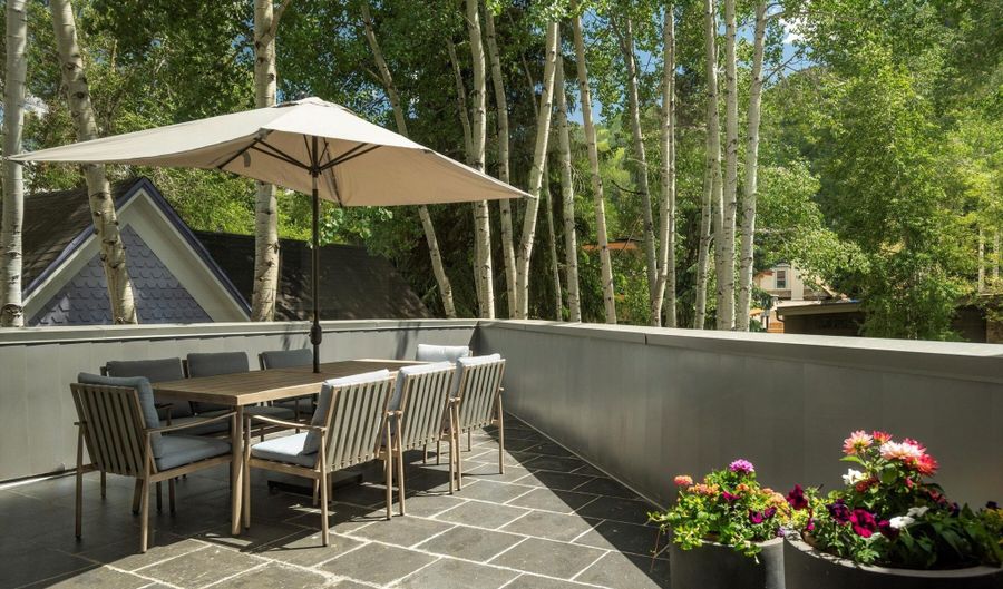 506 W Hallam St, Aspen, CO 81611 - 5 Beds, 6 Bath