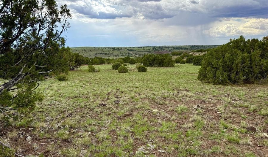 125 Co Rd 8051, Concho, AZ 85924 - 0 Beds, 0 Bath