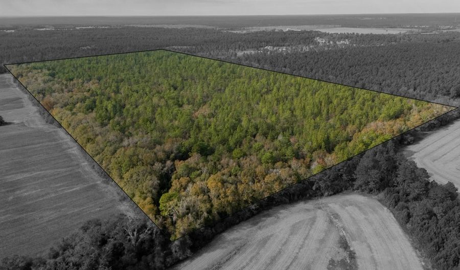 N Bob Brooks Road, Baker, FL 32531 - 0 Beds, 0 Bath