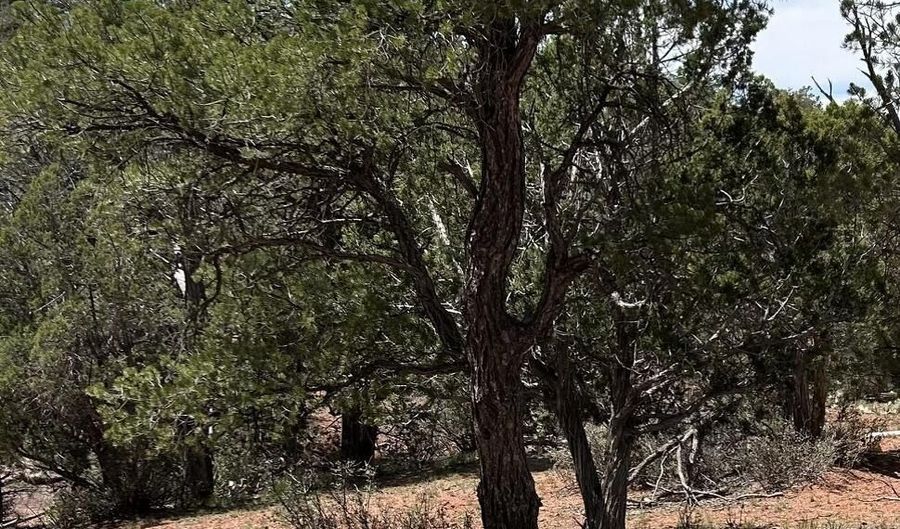 179 Arizona Rd, Ash Fork, AZ 86320 - 0 Beds, 0 Bath