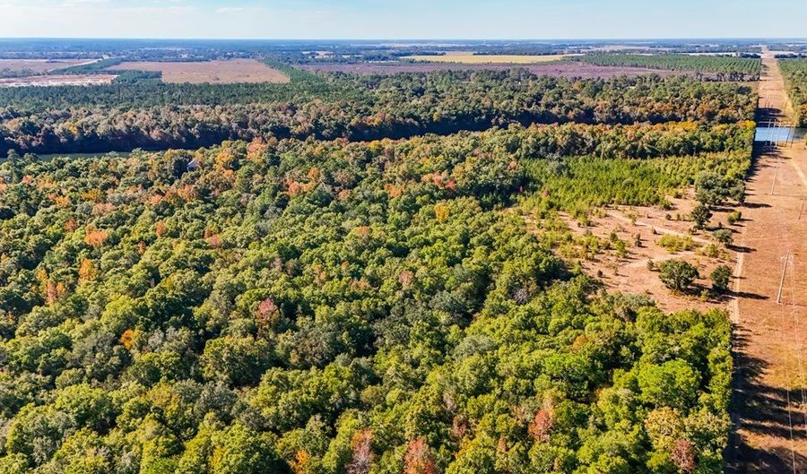 Tract 1 Rivervale Drive, Bainbridge, GA 39817 - 0 Beds, 0 Bath