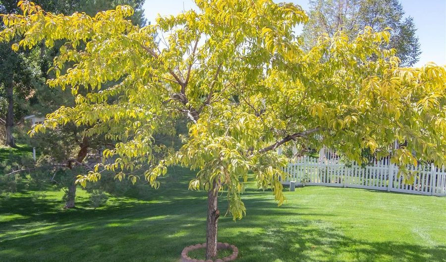 723 Raindrop Dr, Chubbuck, ID 83202 - 3 Beds, 3 Bath