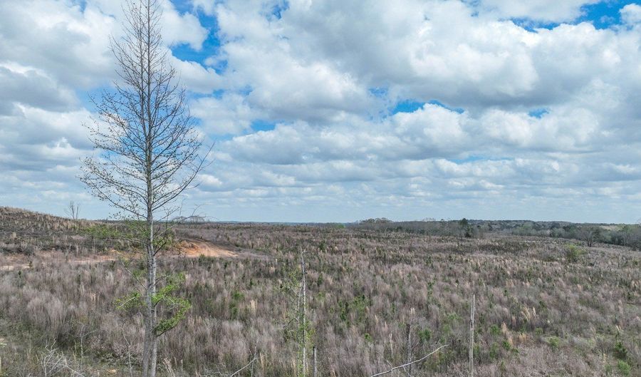 919 County Road 6628, Banks, AL 36005 - 0 Beds, 0 Bath