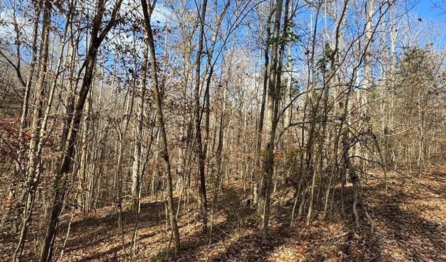 2 23 ACS Stone Clf, Albany, KY 42602 - 0 Beds, 0 Bath