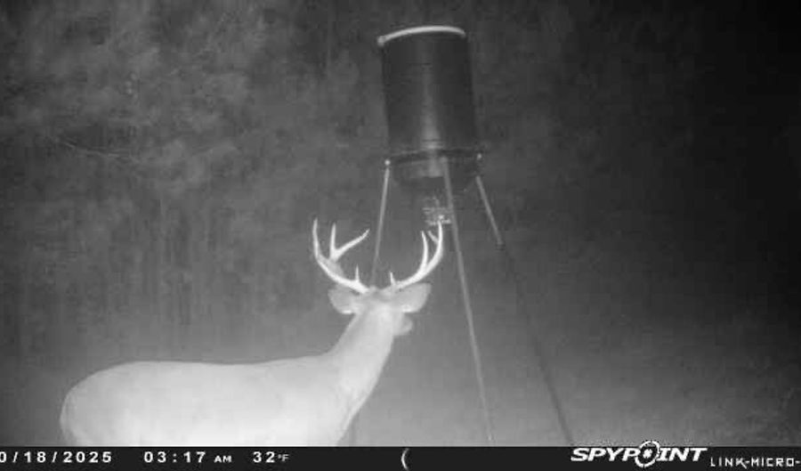 1228 River Rd, Ariton, AL 36311 - 3 Beds, 2 Bath