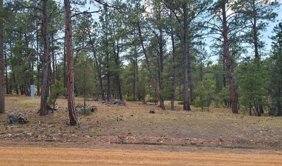 Lot 23 & 24 Sharon Street, Pine Haven, WY 82721 - 0 Beds, 0 Bath