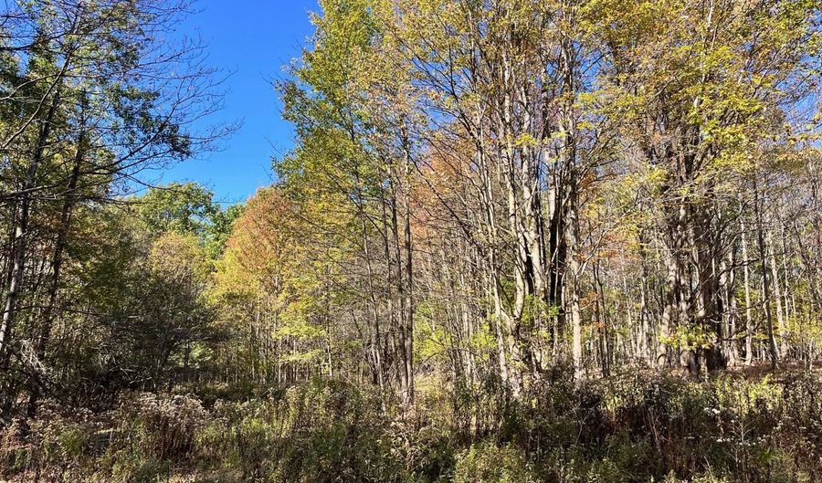 1235 White Hill Rd, Alma, NY 14715 - 0 Beds, 0 Bath