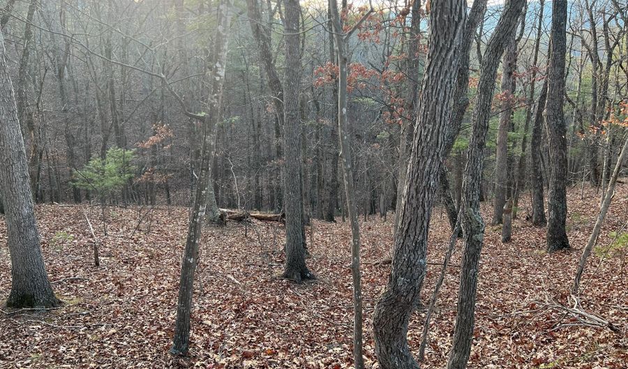 STRATON, Basye, VA 22810 - 0 Beds, 0 Bath