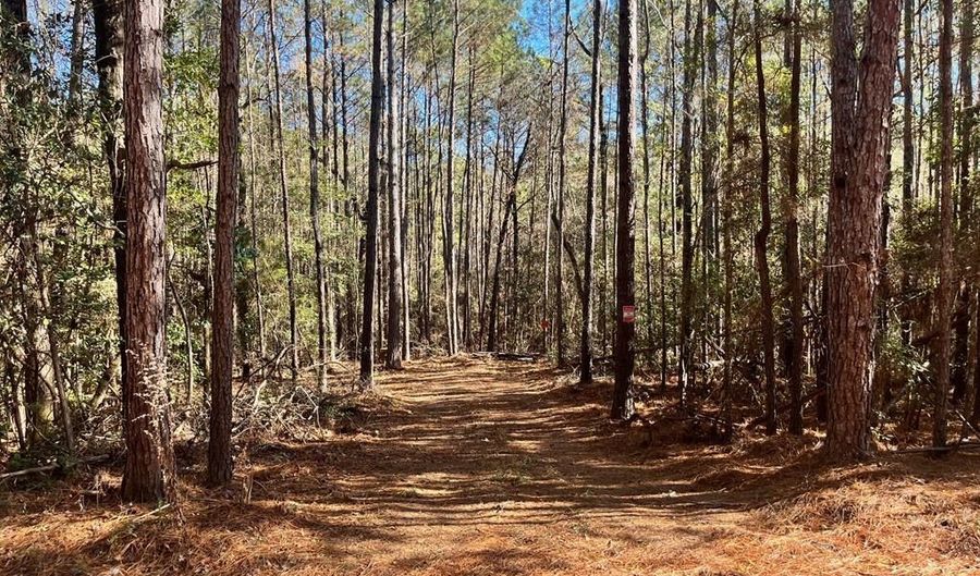 0 Chief Rd, Abbeville, AL 36310 - 0 Beds, 0 Bath