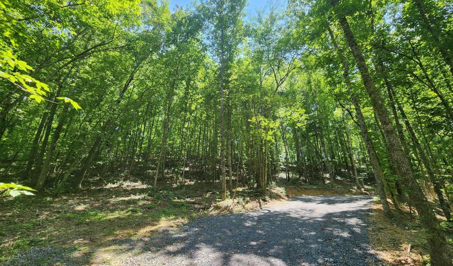 4622 Parker Loop Rd, Birchwood, TN 37308 - 0 Beds, 0 Bath