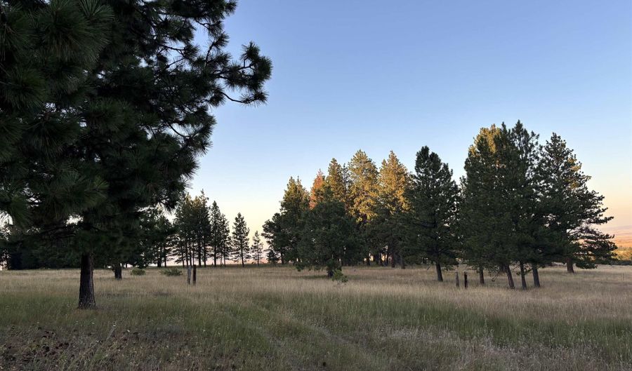 Tbd Harlow Ridge Rd - Cloverland Estates 35, Asotin, WA 99402 - 0 Beds, 0 Bath