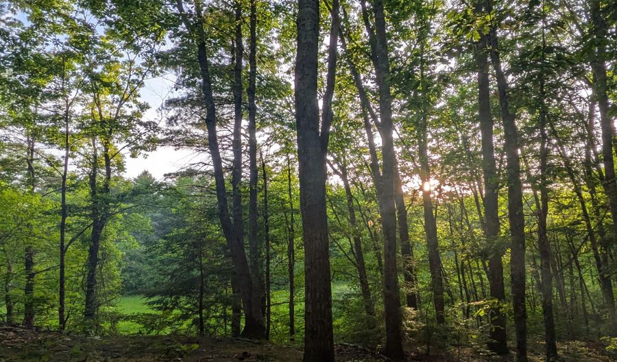 Ginger Hill Lot 8A Lane, Arundel, ME 04046 - 0 Beds, 0 Bath