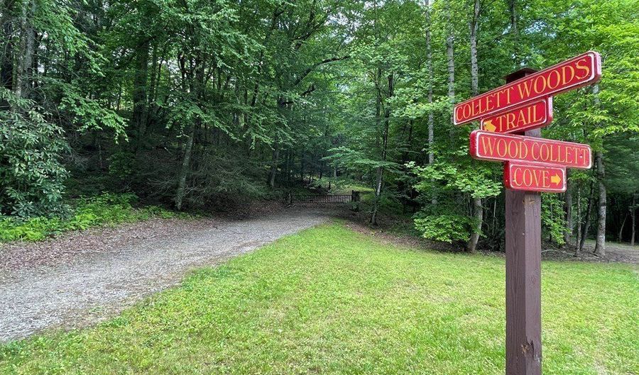 21 Collett Woods Trl Lot #21, Andrews, NC 28901 - 0 Beds, 0 Bath
