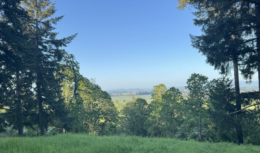 SE Rice Ln, Amity, OR 97101 - 0 Beds, 0 Bath