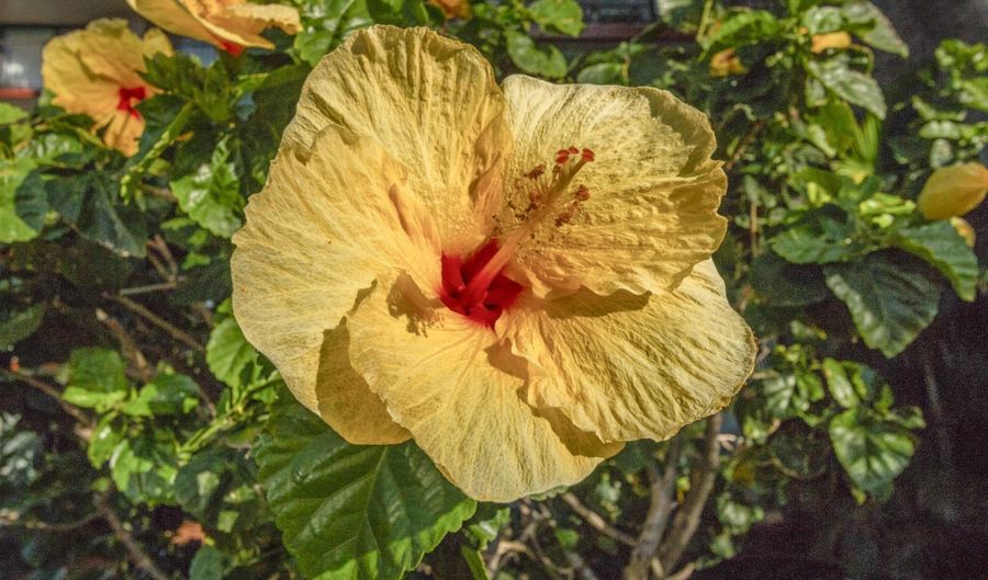 938 S Kihei Rd 301, Kihei, HI 96753 - 1 Beds, 1 Bath