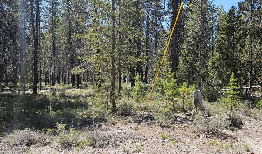 Jaguar Lane 29, Bonanza, OR 97623 - 0 Beds, 0 Bath