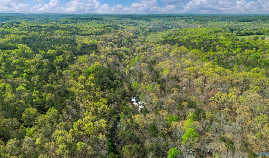 307 Bear Creek Rd SE, Fort Payne, AL 35967 - 4 Beds, 4 Bath