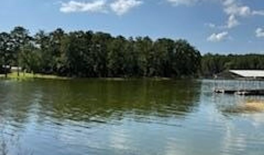 711 Galaxy Dr S, Abbeville, AL 39854 - 0 Beds, 0 Bath