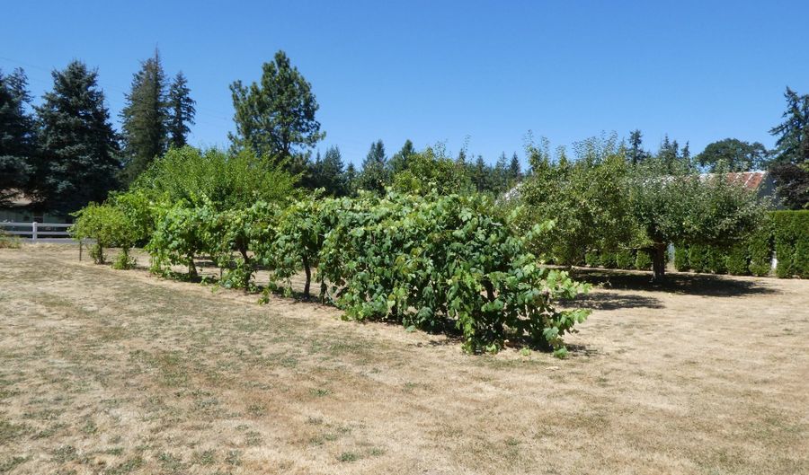 26684 S FISH Rd, Mulino, OR 97042 - 4 Beds, 4 Bath